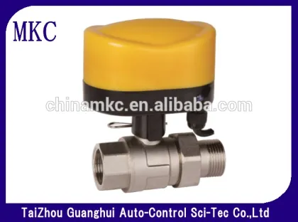 Electric motorized brass zone valve