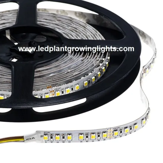 Dual Chip Led Variable Color Temperature Led Flexible Light 12vdc 300 2-chip / Dual Phosphor 3528smd Led