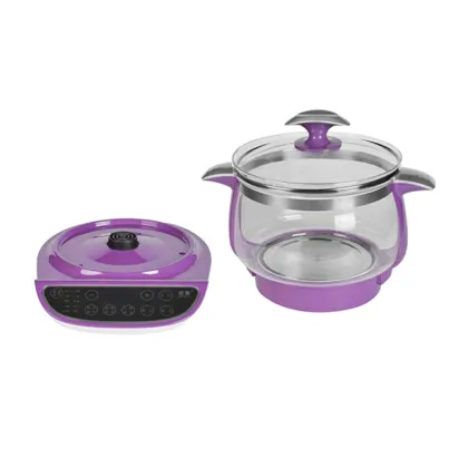 Factory Supply High Quality OEM Electric Glass Health Stock Pot