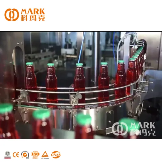 Types of Glass Fruit Juice Packaging and Filling Machines