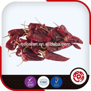 hot pepper chili paprika
