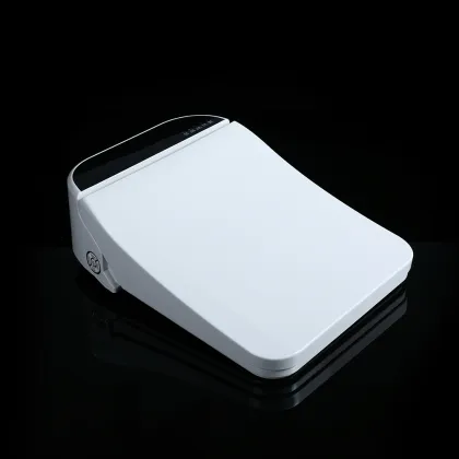Intelligent Automatic Wash Toilet Seat - China Supplied Bidet Smart Toilet Cover Seat