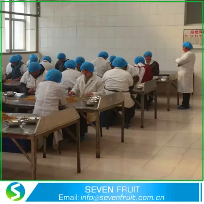 Walnut Type and GMO Cultivation Type Walnuts Halves