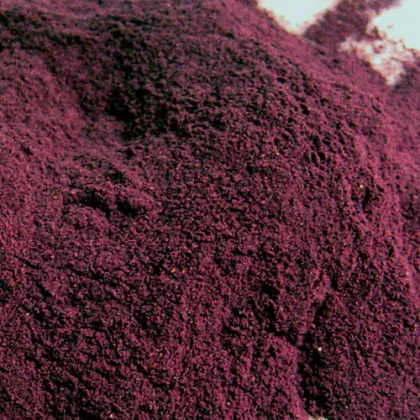 Freeze Dried Blackcurrant powder