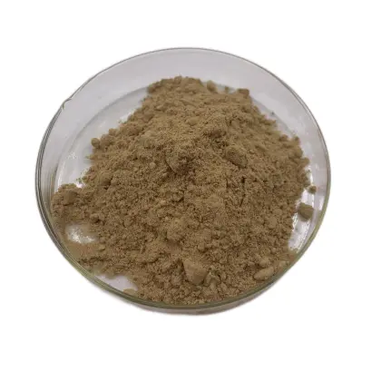 Female Health Care Material Motherwort Extract Powder 10:1