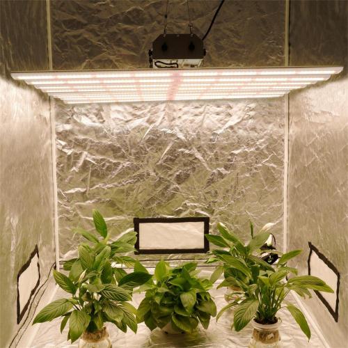Pembuangan Panas Yang Baik 600W Grow Light Hidroponik