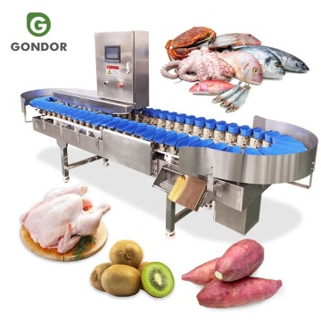 Live Apollo fiskstorlek Sorteringsmaskin: granatäpple, snigel, kiwi fruktviktklasser "Men med tanke på det specifika omnämnandet av" apollo fisk "och den primära funktionen relaterad till sortering och gradering, kan en mer passande titel v