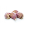 2021 fabrikneuer Knoblauch