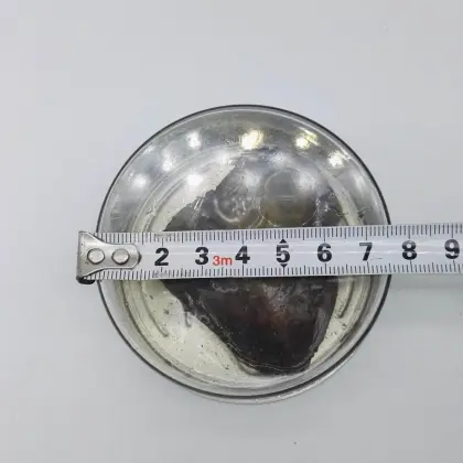 Canned Genuine Oyster Pearl Love Pearl In Can