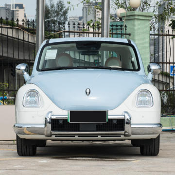 In Stock ORA Car Ballet Cats Electric Mini EV 4 Seater
