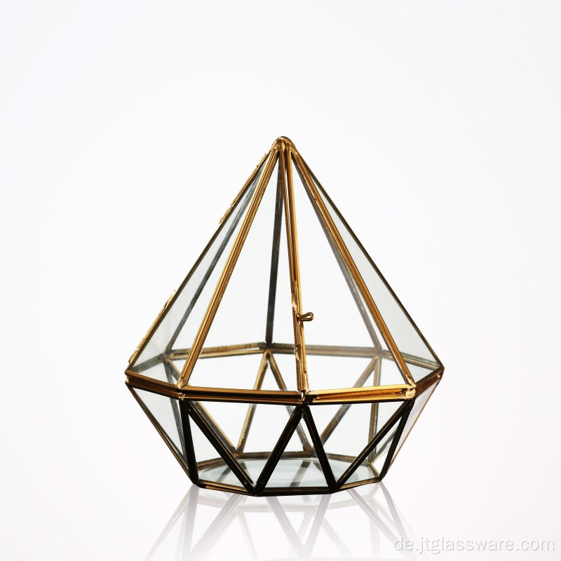 Geometrisches Terrarium aus gerahmtem Gewächshaus aus Glas