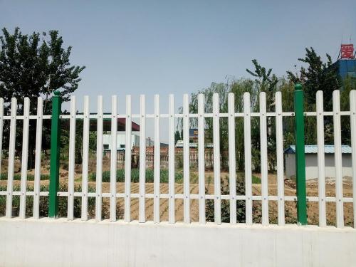 Pannelli di recinzione in palizzata verniciata in acciaio zincato