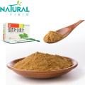 Natural Body Enhancement Gingko Biloba Leaf Extract