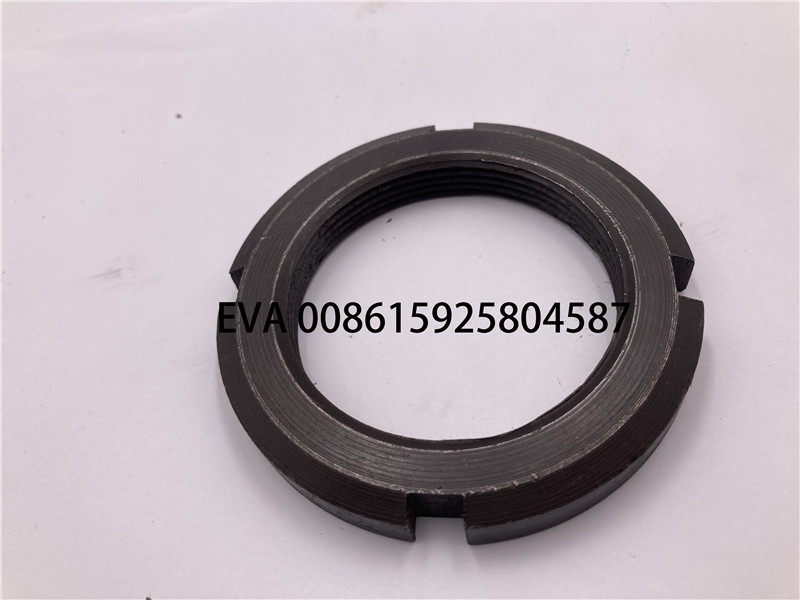 0119013 1 Copy