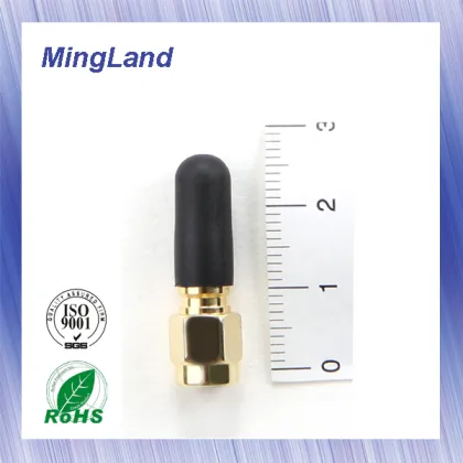 SAM antenna WiFi 2.4G