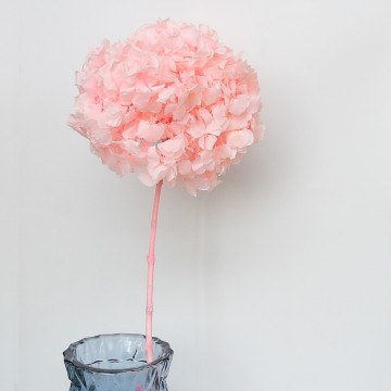 China Factory Supply Wholesale White and Pink Touch Hydrangea Flowers