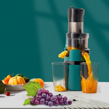 Fabrikversorgung 200W Industrial Slow Juicer Extractor Machine