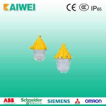 Pendant Light Fittings BAD Series Explosion-proof Light Fittings