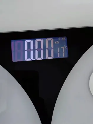 HOUSEHOLD electronic body weight scale