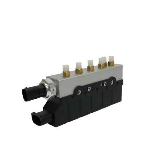 Air Suspension Compressor Valve Block for Mercedes S Class W220 S350 S430 (220 320 02 58)