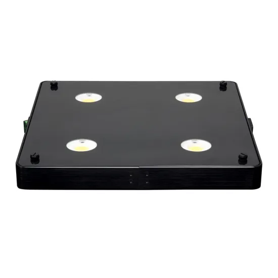 Garden Greenhouse and LED grow light full spectrum for plant