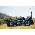 Bobber Motorcycle Classic style V250CC