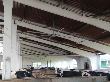 HVLS Fan Manufacturer: 24 ft Big Ass Industrial Ceiling Fans for Large Factory Floors