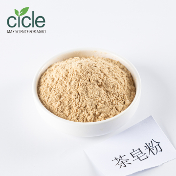 Bioactive Tea Saponin Powder for Nutraceutical Applications