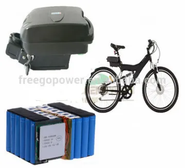 Little Frog 36V 15Ah lithium ion battery pack for electric bike