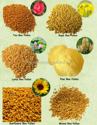 sweet rape bee pollen