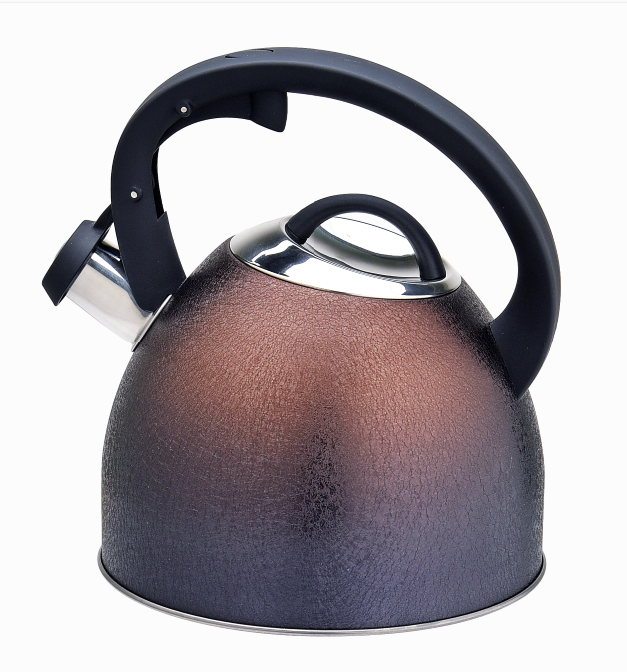 Best stainless steel stovetop whistling teapot kettle