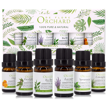 MSDS & GMP Certified Aromatherapy Essential Oil Set - 6 Bottles (Tea Tree, Lavender, Eucalyptus)