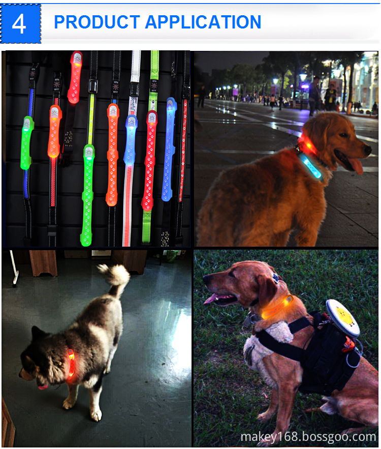 Dog Night Walking Lights