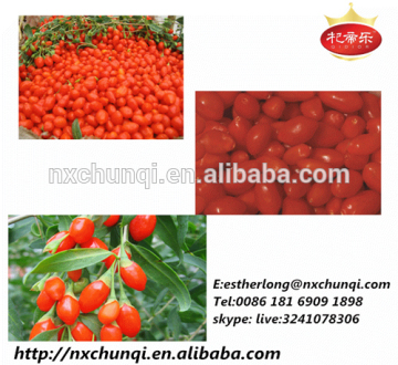 Goji berry 280 gouji