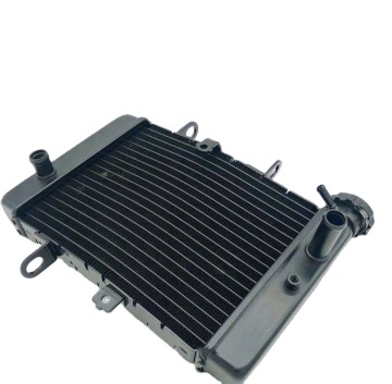 Chinese Radiator Manufacturer Offers New Arrival Motorcycle Radiator for 150cc Models, Including LC150