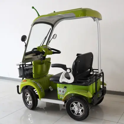 Four Wheel Neighborhood electric car