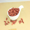 High nutrition Chinese Herb Medicine dried goji berry