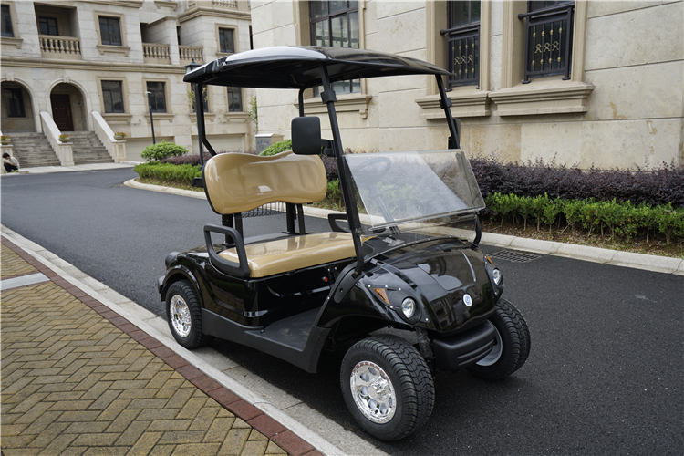 2 مقاعد ezgo بطارية ليثيوم عربات powergolf