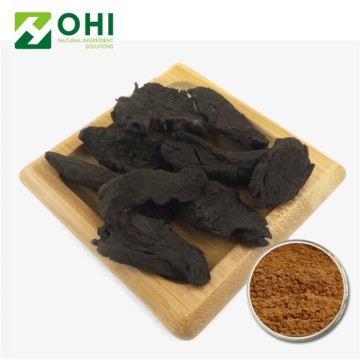 Natural Polygonum Multiflorum Extract