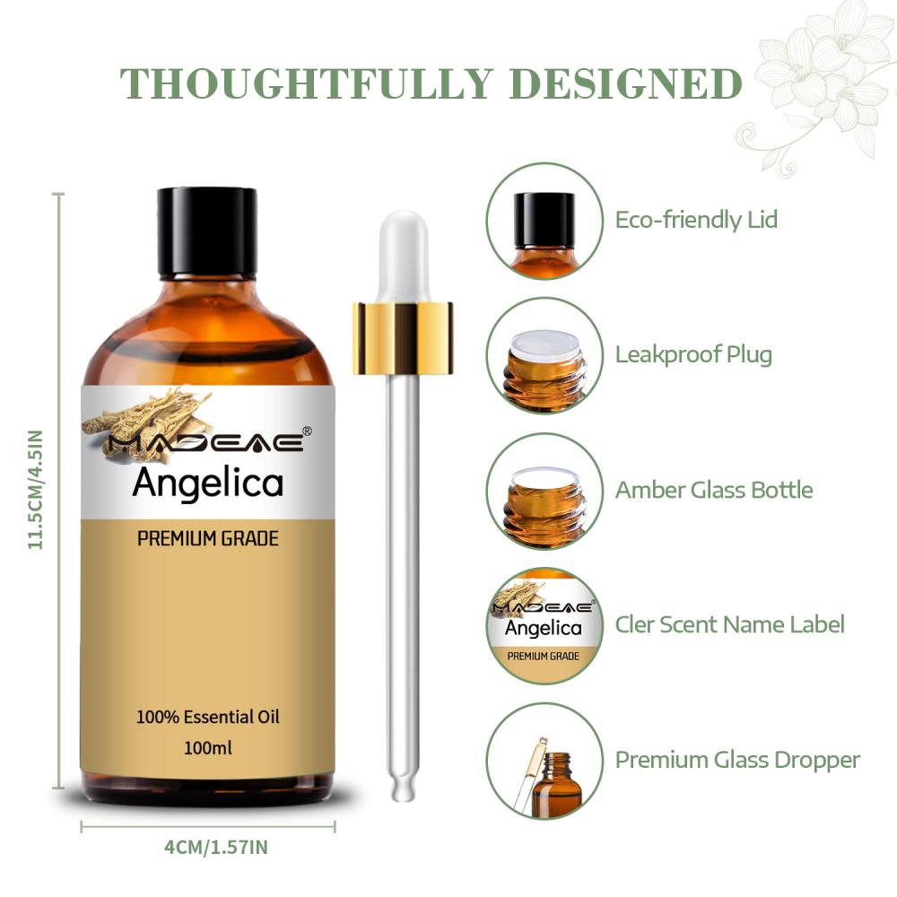 Pure Nature Angelica Oil Steam Distillation For Smoothing Massage