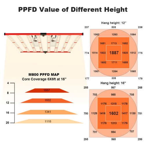 High PPFD Grow Light 800W for Indoor Plants