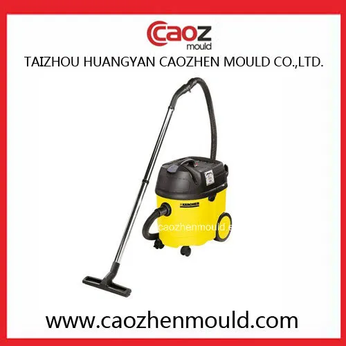 High Precision/Plastic Injection Vacuum Cleaner Mould