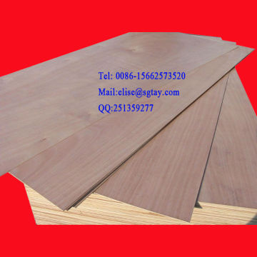 maple veneer plywood