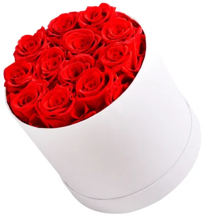 Eternal Rose: Immortal Long-Lasting Preserved Flower for the Perfect Valentine's Day Gift
