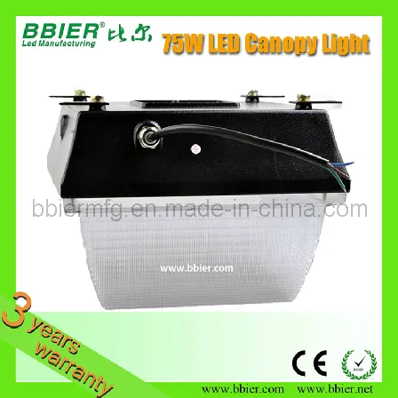 80W LED Canopy Light Fixture