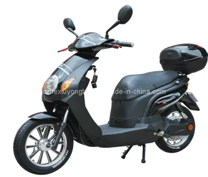 Fuxing (YT-EB-006) / Electric Bicycle