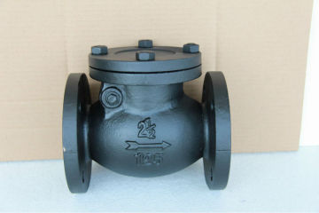 ANSI flange check valve