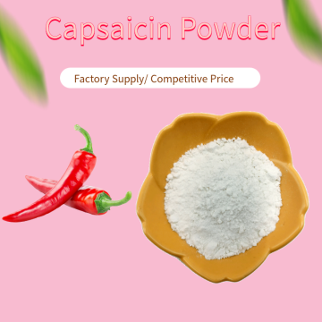 White Pure Capsaicin Powder in Bulk