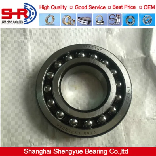 Stainless steel self-aligning ball bearing 1204 1207 with factory price