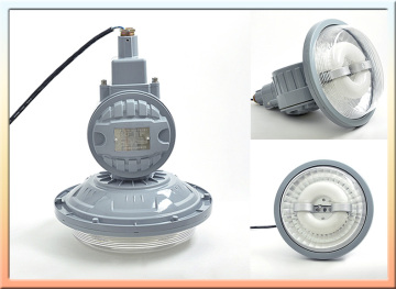 Low Frequency Lighting, Tunnel Induction Lamp, 40-80W Explosion Proof Light